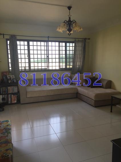 Choa Chu Kang Avenue 1 thumbnail photo